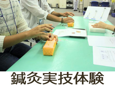 鍼灸実技体験